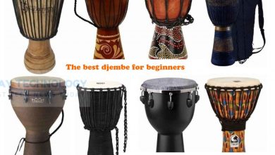 Photo of The Best Djembe for Beginners in 2020