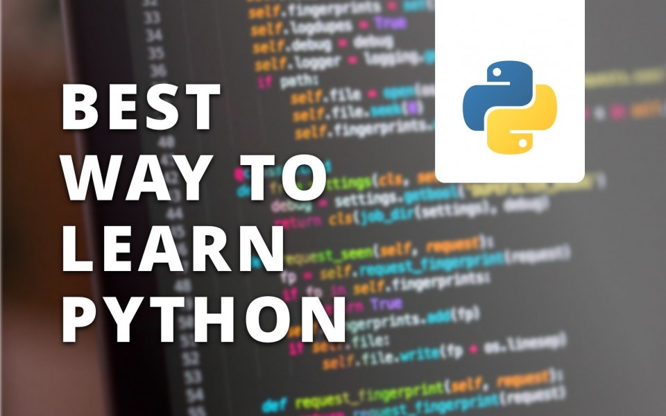 best ways to learn the Python programming language