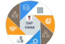 Photo of How to Learn SAP HANA