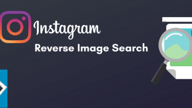 Photo of Instagram Image Search Free to Finding Profile from Photo