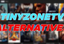Photo of Tinyzone Review–Find Out If Tinyzone Is The Right Site For You